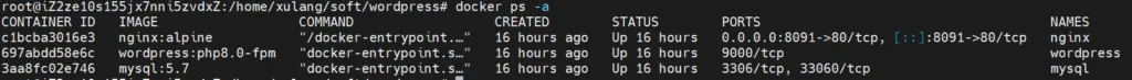 docker ps -a